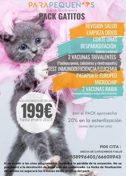 pack gatitos cartel