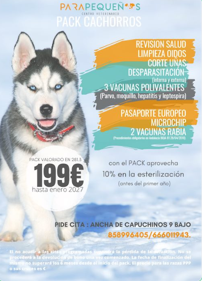 pack perros cartel